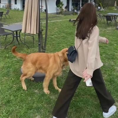 赵明哲